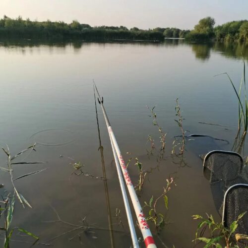 开春怎样钓鱼（立春开春怎么钓鱼）？插图1