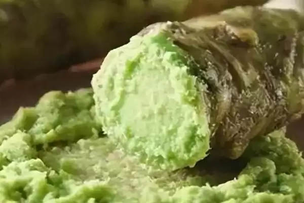 芥末的简介 ,芥末一般分为哪几种及有何特点插图1 芥末的简介 ,芥末一般分为哪几种及有何特点插图1