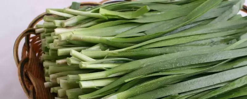 韭菜种子的价格 ,韭菜种子每斤的价格大概是多少呢?插图 韭菜种子的价格 ,韭菜种子每斤的价格大概是多少呢?插图