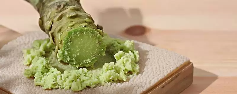 芥末的简介 ,芥末一般分为哪几种及有何特点-会东网