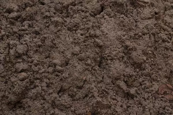 龙功果的水果简介 ,龙功果是怎样生长在泰国的水果?插图4 龙功果的水果简介 ,龙功果是怎样生长在泰国的水果?插图4