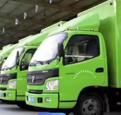 龙功果的水果简介 ,龙功果是怎样生长在泰国的水果?插图5 龙功果的水果简介 ,龙功果是怎样生长在泰国的水果?插图5