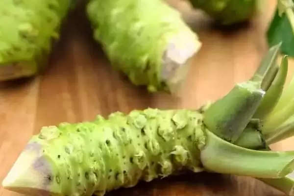 芥末的简介 ,芥末一般分为哪几种及有何特点插图3 芥末的简介 ,芥末一般分为哪几种及有何特点插图3