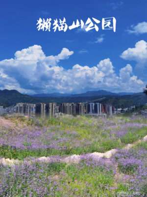 春节邂逅川滇明珠，味蕾与美景共舞插图14