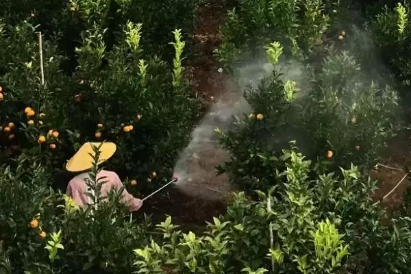 图片[4]-什么是农药使用安全间隔期？了解农药使用安全间隔期要注意什么？-会东网