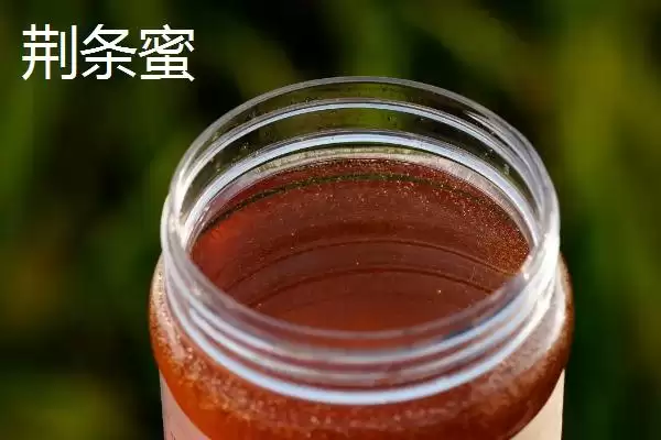 图片[6]-荆条蜜的鉴别方法 ,如何鉴别真的荆条蜜呢-会东网