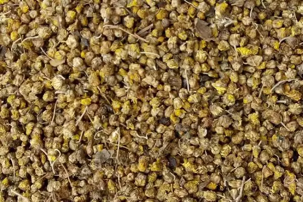 图片[3]-种植中草药的方法和要点？种植中草药要掌握哪些关键步骤？-会东网