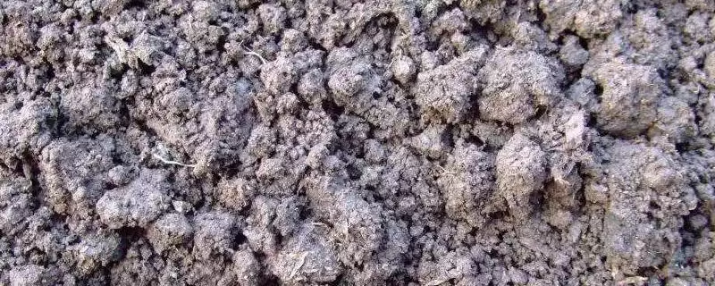 蚯蚓粪的作用及用途详解：改土培肥等多种价值-会东网