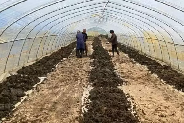 图片[3]-买回来的蚯蚓怎么长期养殖 ,养蚯蚓如何控制湿度酸碱度-会东网