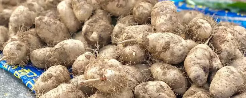 毛薯可不可以放在冰箱里呢 ,毛薯可放冰箱冷藏但不能冷冻-会东网