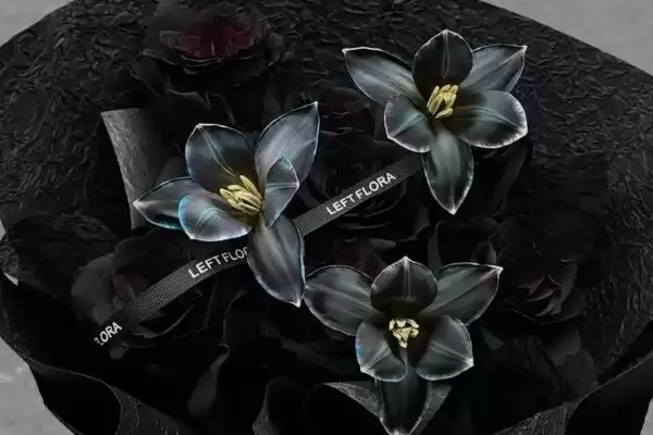 图片[5]-了解郁金香花语的方法和重点？了解郁金香花语要做好哪些细节？-会东网