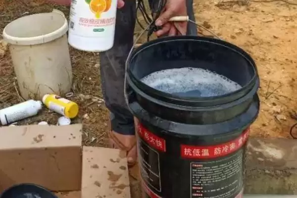 图片[4]-十滴水杀虫比例怎样配？使用十滴水杀虫要掌握哪些正确的配比方法？-会东网