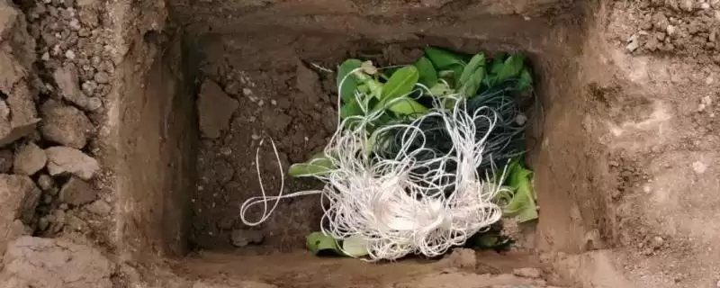 制作肥料的方法和重点？制作肥料要做好哪些细节？-会东网