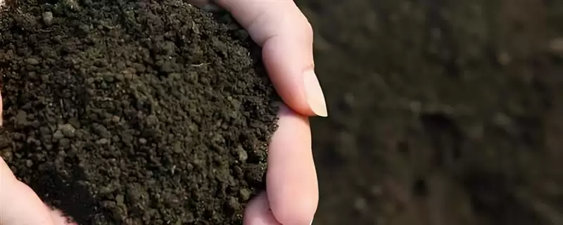 土壤活化剂有没有毒？判断土壤活化剂是否有毒要了解哪些化学特性和安全要点？-会东网