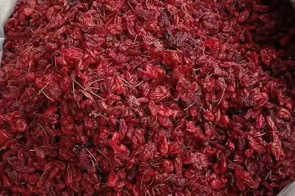 图片[2]-山茱萸种子怎么催芽？催芽山茱萸种子要掌握哪些有效的处理技巧？-会东网
