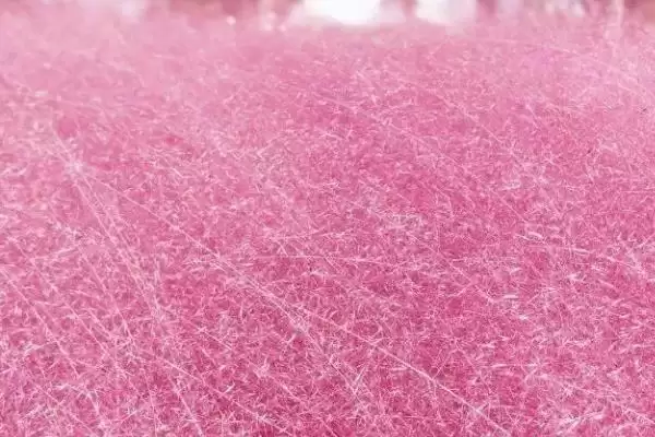 图片[4]-粉色花海的缔造者：粉黛乱子草的梦幻魅力-会东网