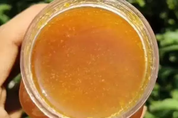 图片[3]-了解枣花蜜结晶颜色的方法和重点？了解枣花蜜结晶颜色要做好哪些细节？-会东网