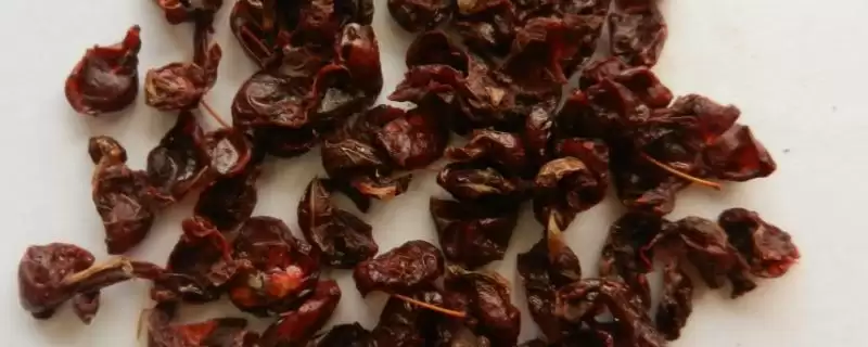 山茱萸种子怎么催芽？催芽山茱萸种子要掌握哪些有效的处理技巧？-会东网