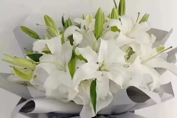 图片[3]-女王节花卉选择指南：康乃馨、百合花等传递美好祝福-会东网