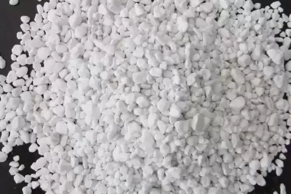 图片[5]-龙眼的种植技术要点 ,龙眼种植控冬梢为何不宜过度？-会东网