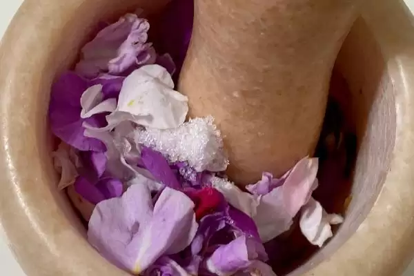 图片[3]-如何用凤仙花染指甲？用凤仙花染指甲要掌握哪些操作方法和技巧？-会东网