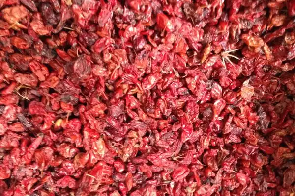 图片[4]-山茱萸种子怎么催芽？催芽山茱萸种子要掌握哪些有效的处理技巧？-会东网