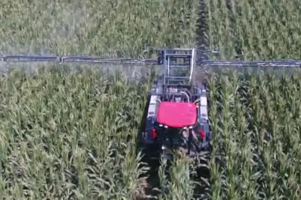 图片[4]-噻唑磷可以杀什么虫？了解噻唑磷杀虫范围要知晓哪些害虫种类？-会东网