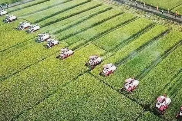 图片[4]-三农领域有哪八个短板？了解三农领域短板要知晓哪些关键薄弱环节？-会东网