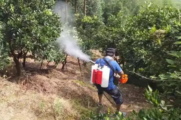 图片[3]-唑醚代森联与磷酸二氢钾混用的要点和注意事项？两者混用需注意什么？-会东网
