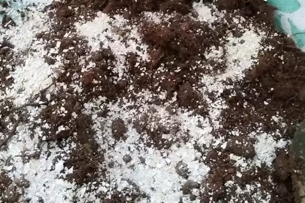 图片[3]-制作肥料的方法和重点？制作肥料要做好哪些细节？-会东网
