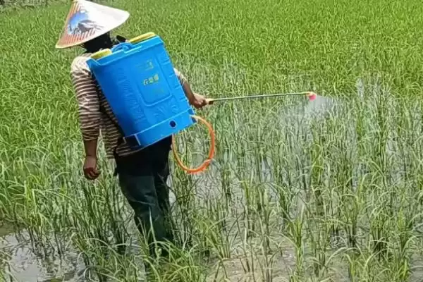 图片[3]-什么是农药使用安全间隔期？了解农药使用安全间隔期要注意什么？-会东网