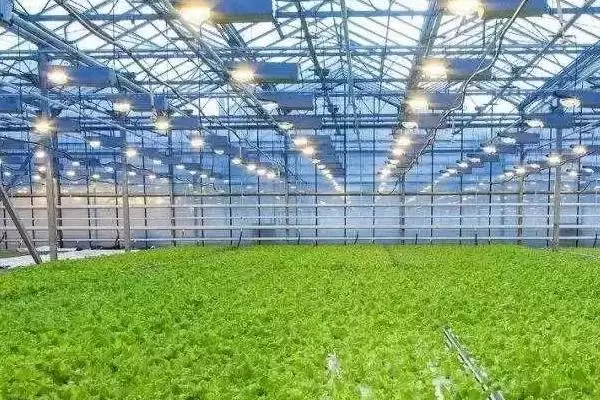 图片[3]-农业现代化的关键要素：掌握这7点，开启农业新征程-会东网