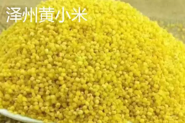 图片[5]-山西泽州的特产？了解山西泽州特产要掌握哪些具有代表性的产品？-会东网