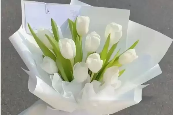图片[5]-女王节花卉选择指南：康乃馨、百合花等传递美好祝福-会东网