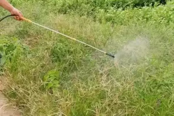 图片[3]-尿素与除草剂的“爱恨情仇”：只能和部分药物混用的原因-会东网