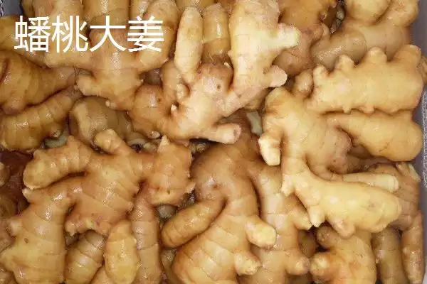 图片[6]-山东平度的特产？知晓山东平度特产要掌握哪些当地特色产品要点？-会东网