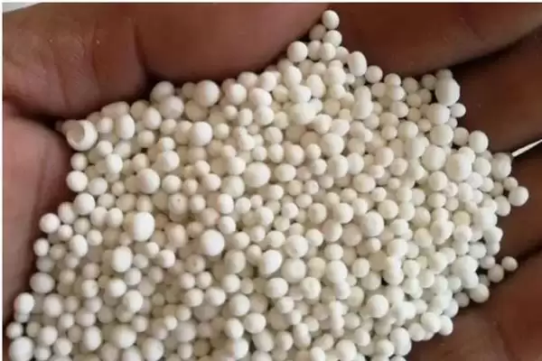 图片[6]-养殖一品红的方法和重点？养殖一品红要做好哪些细节？-会东网