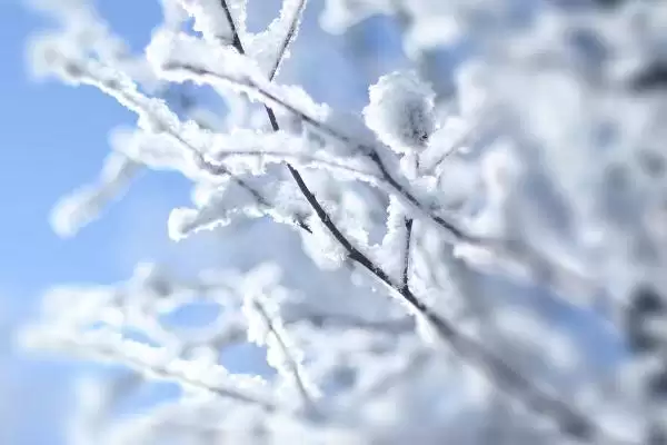 图片[3]-小雪节气与天气预报中小雪区别的要点和对比？分辨两者需注意哪些关键？-会东网