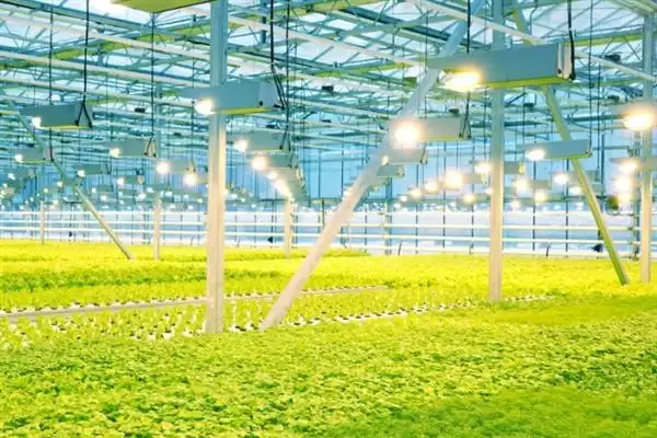 图片[3]-未来现代农业业态？探索未来现代农业业态要分析哪些科技、市场和政策影响因素？-会东网