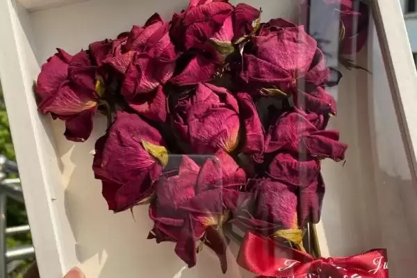 图片[3]-玫瑰花插在水里怎么保鲜呢 ,玫瑰花插水需每隔一两天换一次水-会东网