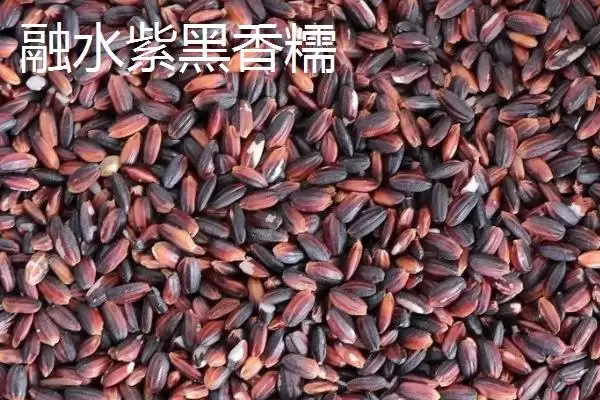 图片[7]-柳州市融水苗族自治县的特产 ,融水有哪些特色的特产种类？-会东网
