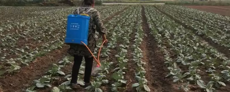 唑醚代森联与磷酸二氢钾混用的要点和注意事项？两者混用需注意什么？-会东网