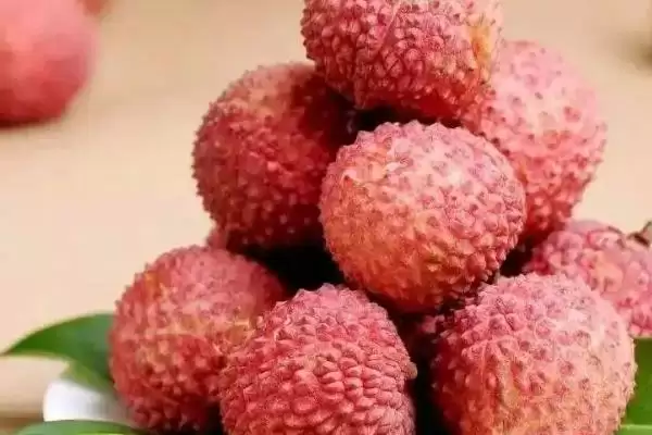 图片[5]-荔枝的成熟季节 ,荔枝为什么在 5-8 月成熟呢？-会东网