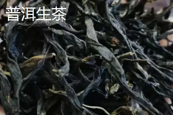 图片[7]-普洱茶产地揭秘：主产于云南省的独特韵味-会东网