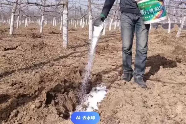 图片[2]-施肥的注意事项？施肥过程中要遵循哪些重要的注意要点和原则？-会东网