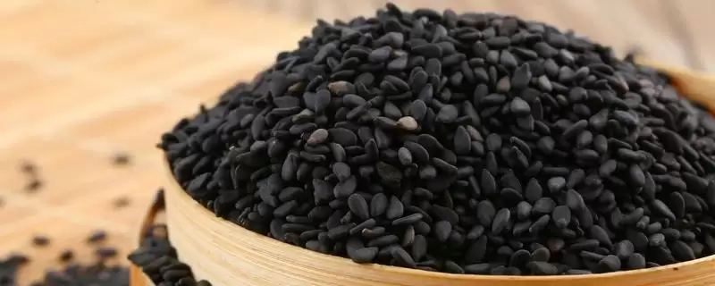 掌握芝麻苗期管理方法的方法和重点？掌握芝麻苗期管理方法要做好哪些细节？-会东网