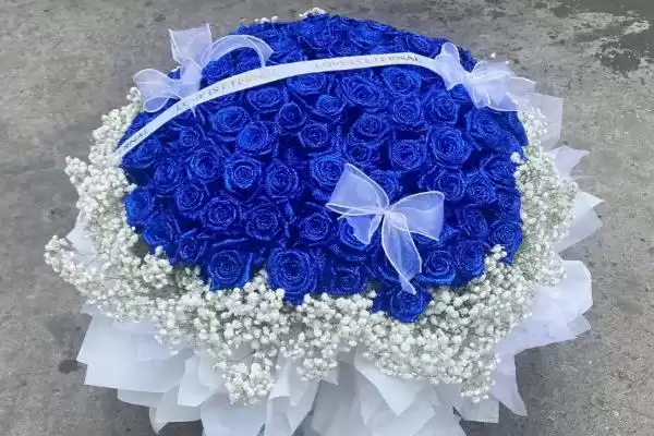 图片[6]-女王节花卉选择指南：康乃馨、百合花等传递美好祝福-会东网