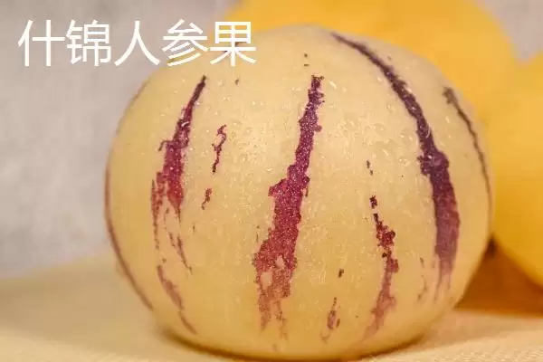 图片[8]-青海省格尔木市特产大观：枸杞、酿皮、唐古拉牦牛等特色-会东网