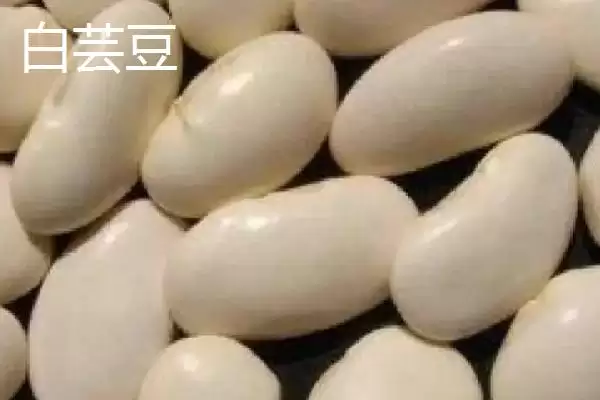 图片[3]-认识云南大理土特产的方法和重点？认识云南大理土特产要做好哪些细节？-会东网