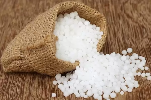 图片[4]-昙花一年开多少次？了解昙花一年开花次数要探究哪些花期规律和养护要点？-会东网